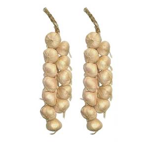 lot 20249 image: SpzcdZa Artificial Garlic Strings 2 Pack Beige Foam 20 In