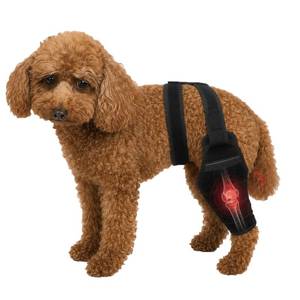 lot 2469 image: ZhiMengPet 2026 Dog Knee Brace for Torn ACL CCL, Support Brace with Back Strap to Prevent Slipping, Hind Leg Support for Dog Joint Pain Recovery�� Luxating Patella, Fits Small Medium Large Dogs, M - Retail $46