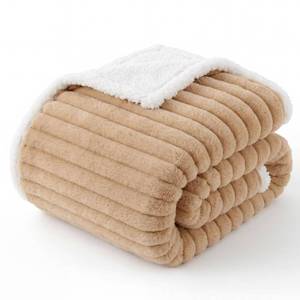 lot 2558 image: Bedsure ComfyFleece� Waterproof Dog Blankets for Medium Dogs 30x40 - Retail $21