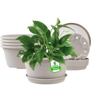 lot 2587 image: 6 Pack 10 inch Plant Pot, Shallow Planters with Drainage Holes, Gray White - Retail $18