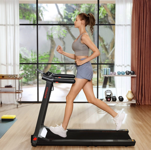 lot 109 image: Kingsmith WalkingPad Pro Folding Treadmill - Retail $599