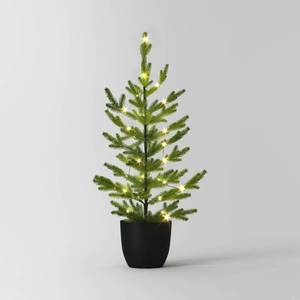 lot 6759 image: 3 Potted Balsam Fir LED Pre-Lit Battery Operated Artificial Christmas Tree Dewdrop Warm White Lights - Wondershop - Retail $50