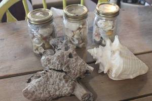 lot 5460 image: Jars of Shells and Drift Wood