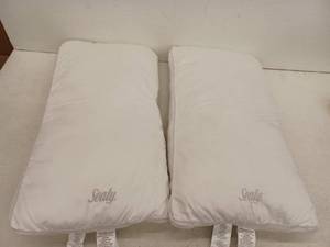 lot 13034 image: Sealy King Size Polyester Fiber Bed Pillows, Set of 2