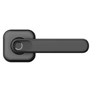 lot 2038 image: Defiant Matte Black Biometric Electronic Lever Door Lock