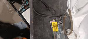 lot 36258 image: Bungee Cords