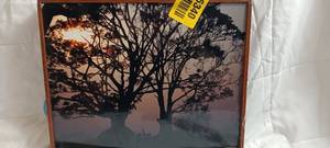 lot 36340 image: Picture of Trees