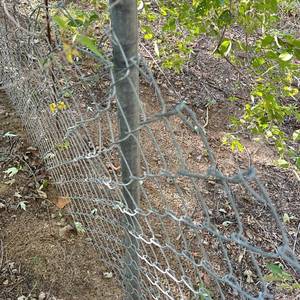 lot 62 image: Chain Link Fence Section with Posts to be removed - 181 feet plus 22 round silver posts - bring your helper and tools