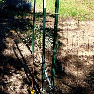 lot 65 image: Welded wire Fence Section to be removed 4 feet tall - 46 total feet - does not include any posts - fencing only - bring your helper and tools