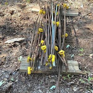 lot 73 image: Lot of Ribbed Rods with Yellow Insulators and Flat Galvanized-Look Strip