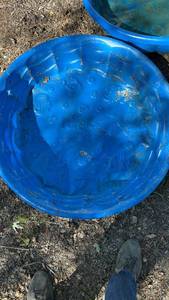 lot 81 image: Funsicle Kiddie Pools Lot of 3- 34.5 diameter
