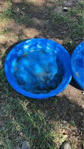 lot 82 image: Blue Round Wading Pool Lot of 2 - 34.5 diameter