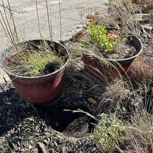 lot 94 image: Set of 2 Round Planter Pots - 18H x 22diameter