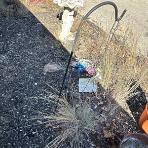 lot 97 image: 5ft Garden Shepherds Hook Stake with Hanging Floral Watering Can Decor