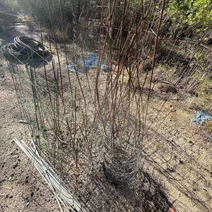 lot 182 image: Wire Garden Plant Support Cages Lot