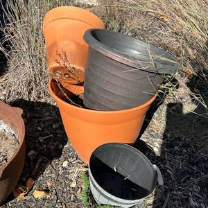lot 197 image: Assorted Plant Planter Pots Lot