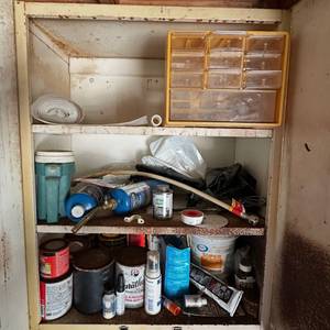 lot 319 image: Contents of Cabinet Assorted Workshop Lot Paint, Finishes, PVC Cement, Propane Cylinders, Parts Organizer - bring your own box to load