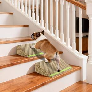 lot 18 image: JoyBlooms Upgraded Dog Ramp for Stairs, Dog Stairs for Small Dogs (Corgi & Dachshund), 40D Foam Non-Slip, 30° Slope with Glow Strip, 13.8x10.2x5.9, Brown-2pcs - Retail $30