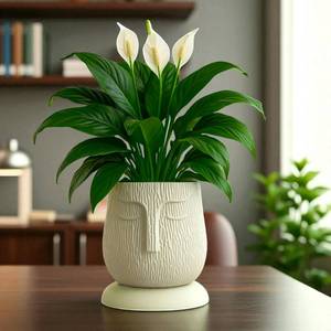 lot 2973 image: Indian Discovery Artistic Ivory Face-Shaped Self Watering Planter Pot Modern Decorative Craft Planter for Indoor Outdoor Plants 1 PC - Retail $4,010