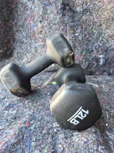 lot 60 image: Pair of Dumbbells 8 lb