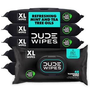 lot 1629 image: DUDE Wipes Mint Chill Flushable Adult Wet Wipes 288 Count