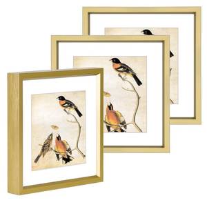lot 7920 image: BKABOT Picture Frame 5x5 Square HD Glass 3 Pack Table or Wall Display