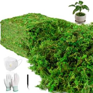 lot 8038 image: RTZQQIN Artificial Green Moss 10 Oz for Crafts & Plants