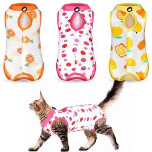 lot 8060 image: Nuanchu Cat Recovery Suit 3 Pack Medium Fruit Style Colorful
