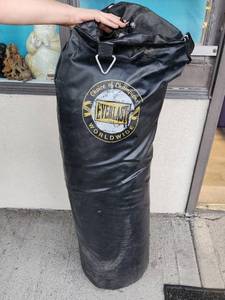 lot 136 image: Everlast Punching Bag with Hanging Chain and Hardware