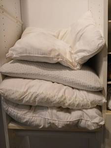 lot 1507 image: Assorted Pillows Lot of 4