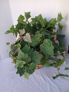 lot 3533 image: Artificial Ivy and Leaf Foliage Arrangement in Woven Basket