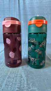lot 2020 image: Cat & Jack Value Hydration Water Bottles 2 Pack Dino and Strawberry