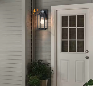 lot 238 image: Outdoor Wall Lantern Light Fixture with Motion Sensor Dusk to Dawn - Retail $0