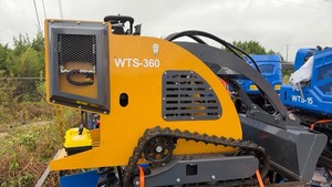 lot 5013 image: Unused WTS Skid Steer Loader 8.5 kW 570 kg WTS360