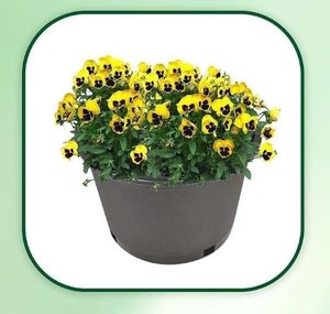 lot 39769 image: 20 Gallon Molded Plastic Garden Planter Pots, Nursery Seedling Planters Container with Drainage Holes - Retail $40