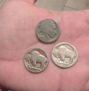 lot 509 image: United States Five Cent Coins Buffalo Design Lot of 3