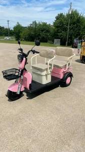 lot 91036 image: 2-Passenger Electric 3-Wheel Mini Golf Cart with 3-Speed Drive (MGC40-PINK) - Retail $0