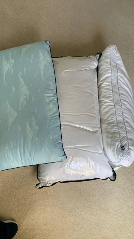 lot 1449 image: Bed pillows