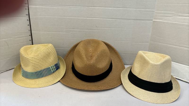 lot 1703 image: Fedora-Style Hats Lot of 3 Size 58 Label Shown