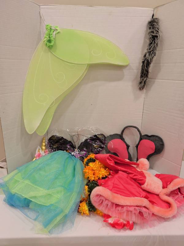 lot 2201 image: Halloween Costume Lot Fairy Wings, Tulle Skirt, Hooded Cape and more