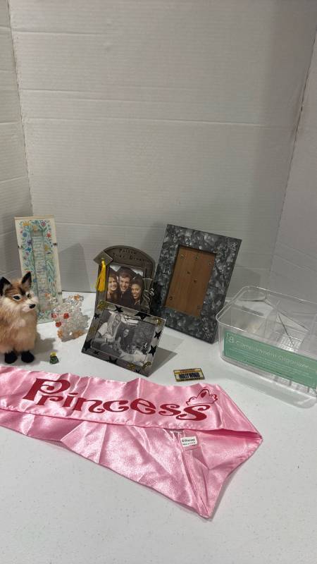 lot 2309 image: Assorted Lot Picture Frames, 8-Compartment Organizer, Princess Sash, Fox Figure and more