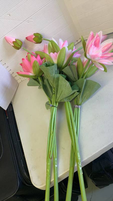 lot 3087 image: Pink Water Lily Flower Stems Bundled Lot