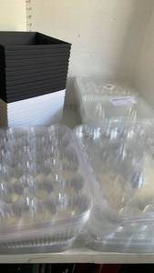lot 3603 image: Cupcake holders and boxes