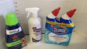 lot 3806 image: Bissell Pet Spot & Stain 32 oz, Folex Carpet Spot Remover, Clorox Bleach Gel