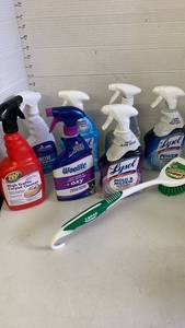 lot 3813 image: Cleaning Product Lot Lysol Zep Woolite CLR RMC Libman