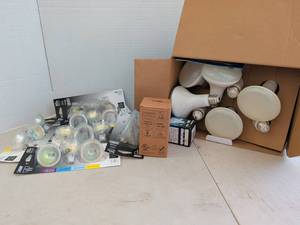 lot 4239 image: Feit Electric MR16 50W Halogen and LED Bulb Lot with BR30 8W 5000K LED Bulbs and misc.