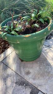 lot 5020 image: Green Painted Round Flower Pot Planter  12x14