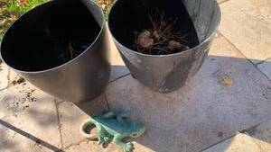lot 5022 image: Two plastic planters 12 x 14 and ceramic lizard