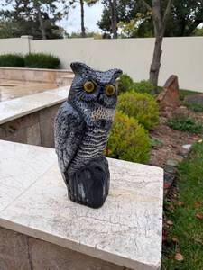 lot 6010 image: Owl garden decor