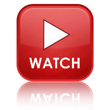 lot 1 image: READ. Information and Video For This Auction
